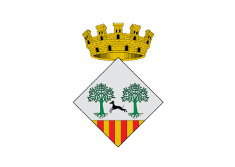 Seguros en Cassá de la Selva